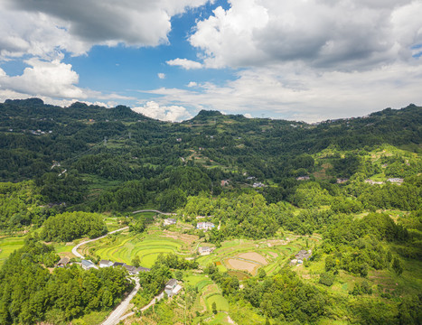 森林青山航拍自然风光