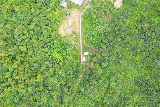 森林原野草地航拍自然风光