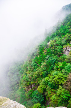 庐山花径云雾和青山