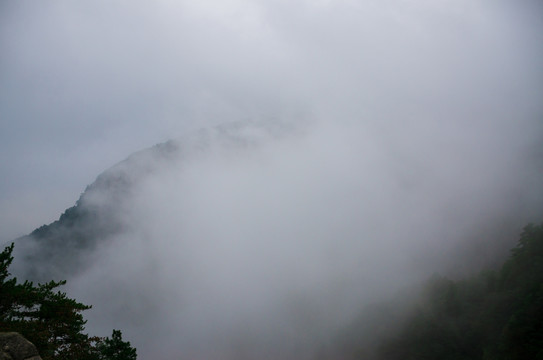 庐山花径重雾