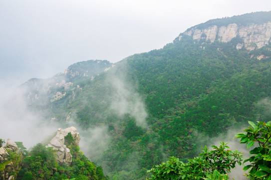 庐山花径青山