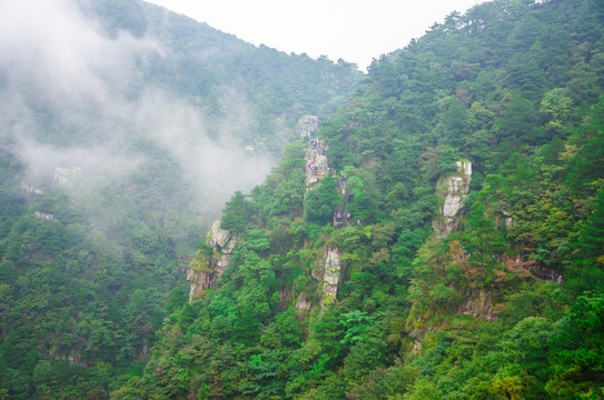 庐山花径青山