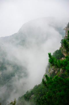 庐山花径云海