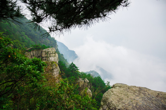 庐山花径云海