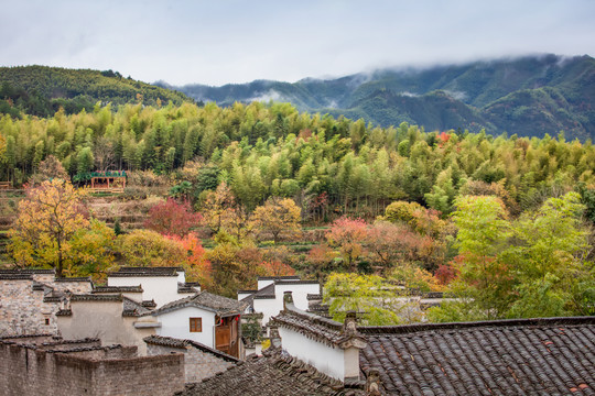 塔川秋色