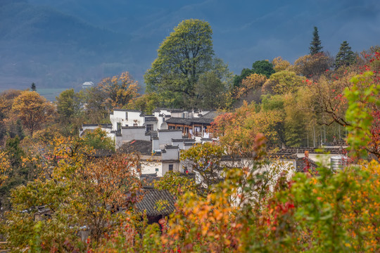 塔川秋色