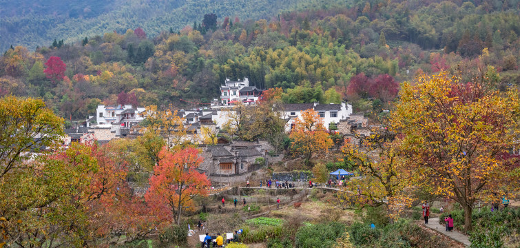 塔川秋色全景图