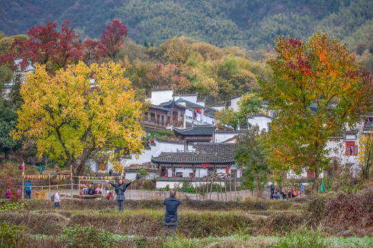 塔川秋色