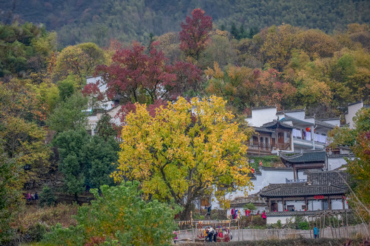 塔川秋色