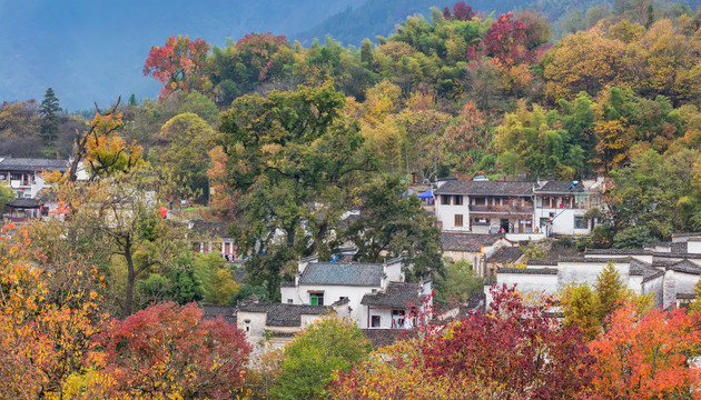 塔川秋色全景图