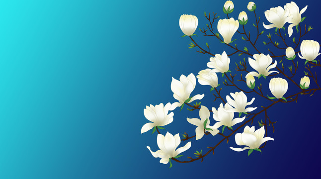 玉蘭花