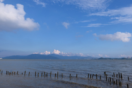 深圳湾与香港隔海