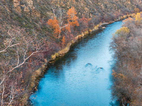 峡谷河流秋季树林岩石