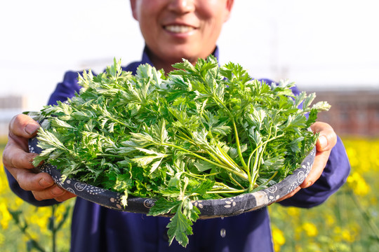 农民手里端着一篮艾草