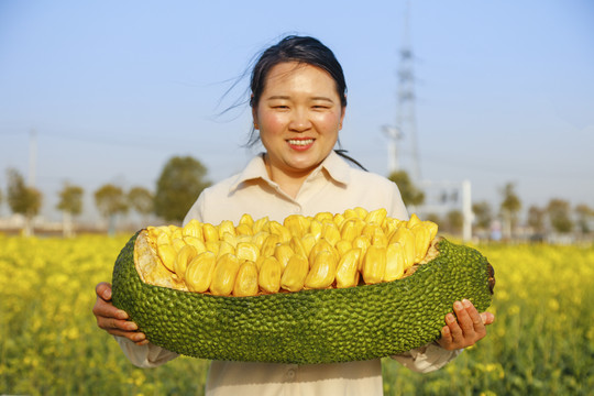 手里抱着黄心菠萝蜜