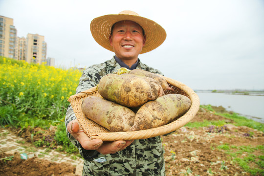 一簸箕冰激凌水果萝卜