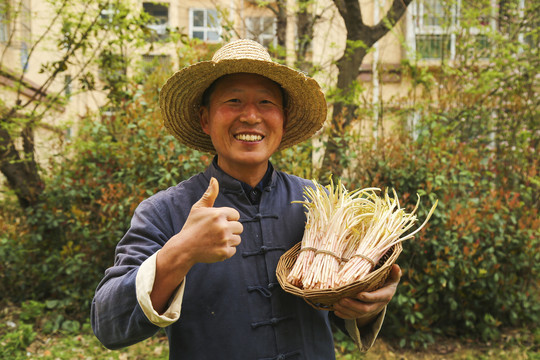 手里端着一篮新鲜鱼腥草嫩芽