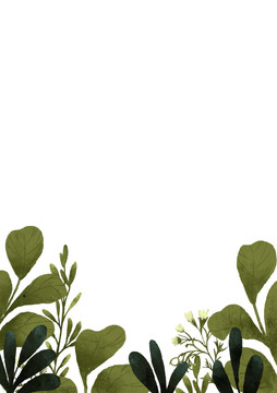 前景植物插畫