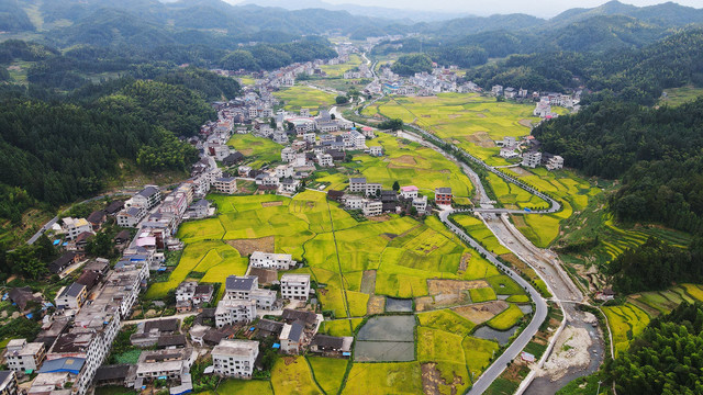 乡村振兴紫鹊界梯田秋景航拍