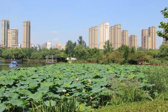 西安桃花潭