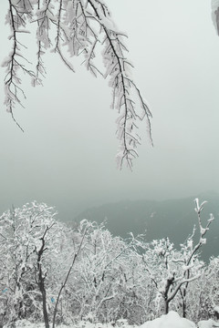 南方的雪