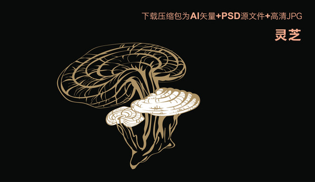 靈芝