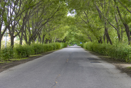 乡村道路