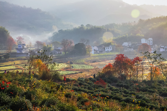 塔川红叶塔川黟县皖南