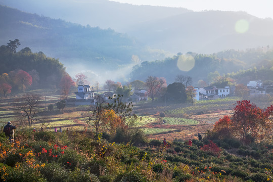 塔川红叶塔川黟县皖南