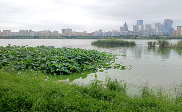 河边