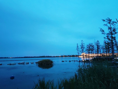 湖边湿地观光长堤夜景