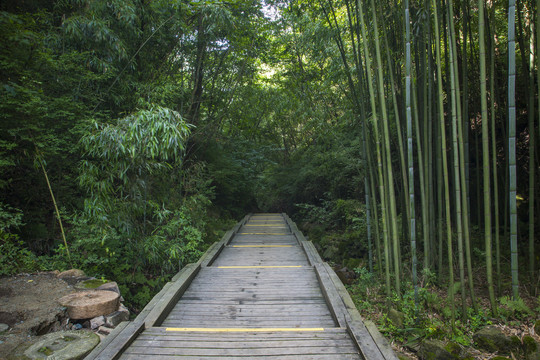 栈道