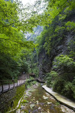 金丝峡