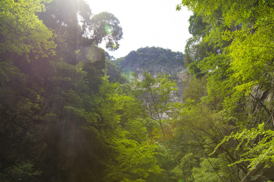 山峰峡谷