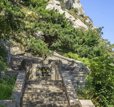 信阳鸡公山风光之报晓峰迎客松