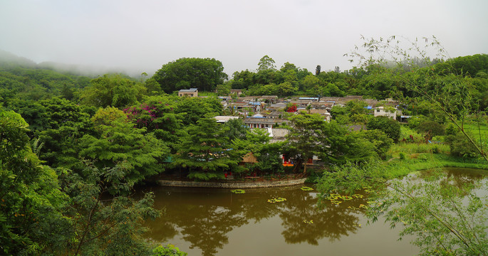 农村田园风光