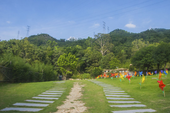 青山草地小路