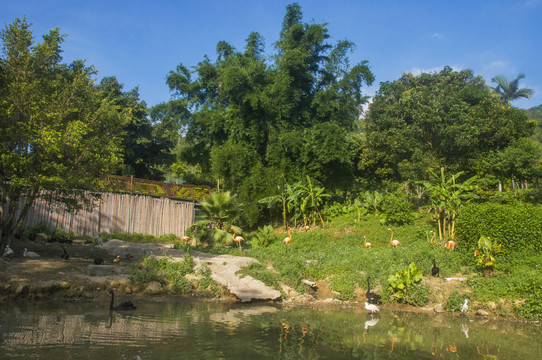 水禽园风景