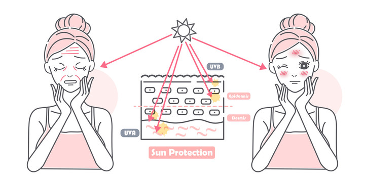 线条风女人 阳光造成脸部伤害插图