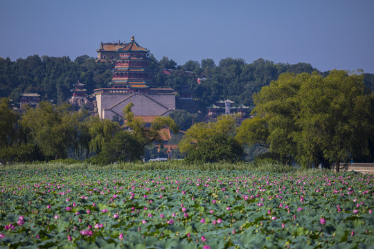 佛香阁