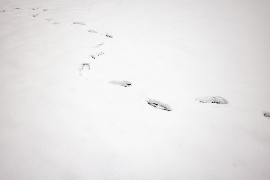 雪地里的脚印