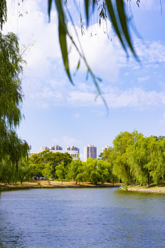 校园风景