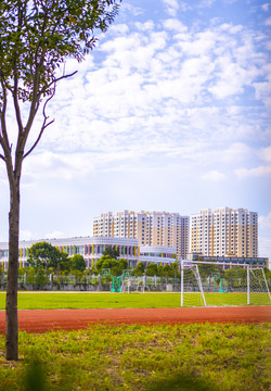 校园风景