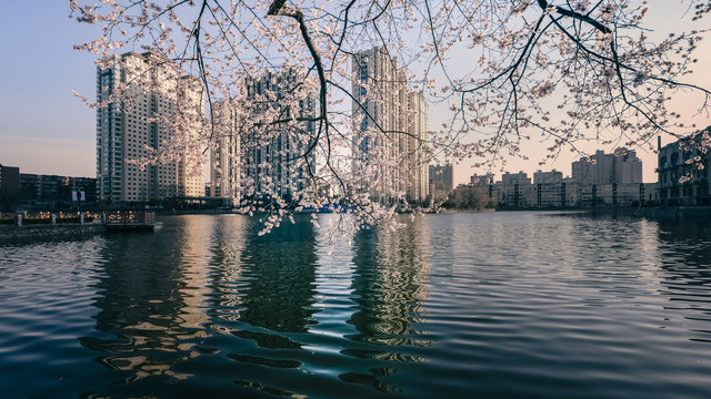 丹东城市青年湖风景