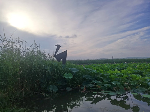 湿地公园荷塘鸟型雕塑