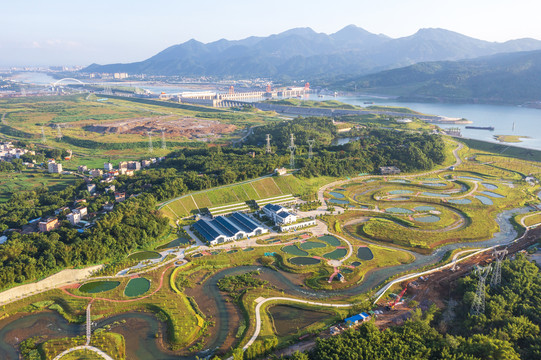 广西桂平大藤峡鱼洄游通道