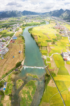 广西河池都安海菜花田园风光