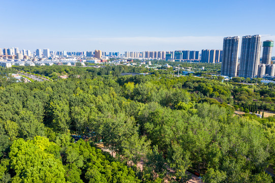 平顶山白鹭洲国家城市湿地公园