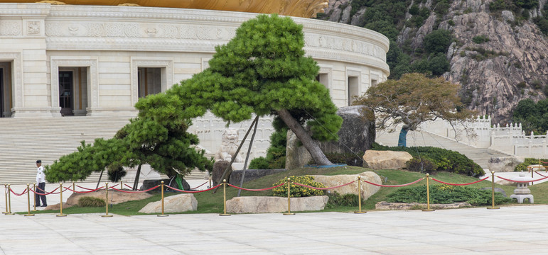 园艺造景