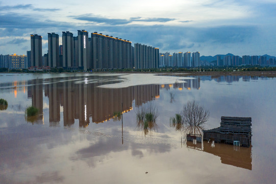 中山市湿地风貌